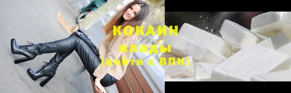 прущие грибы Надым