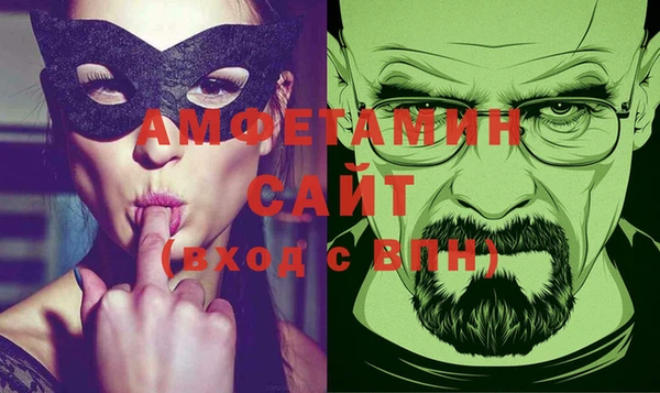 прущие грибы Надым