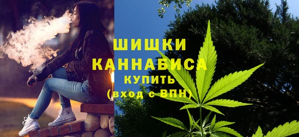 дживик Гусиноозёрск