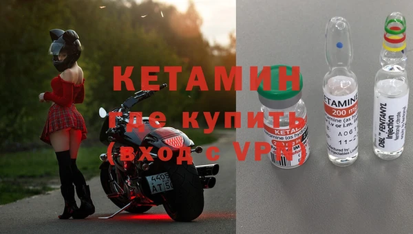 прущие грибы Надым
